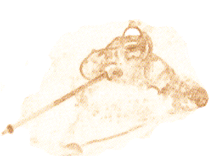 Slalom Skier Slalom Skier