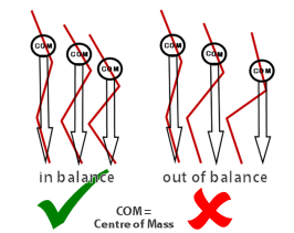 Balance - Leg Flexion / Extension Alpine skiing - Leg Flexion / Extension