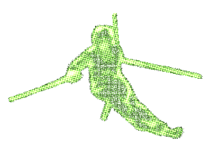 Slalom Skier Slalom Skier